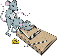 mcat16-title picture